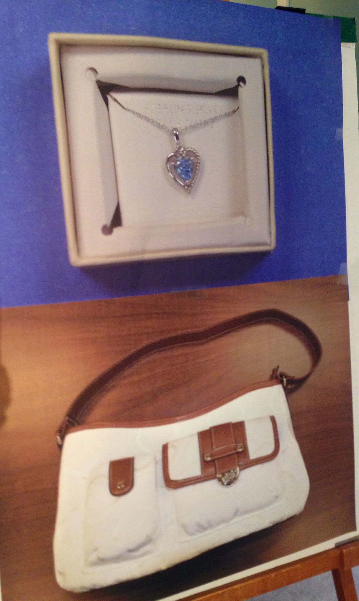 Police believe Abigail Hernandez was carrying the purse and wearing the necklace pictured. (WBZ-TV Photo)