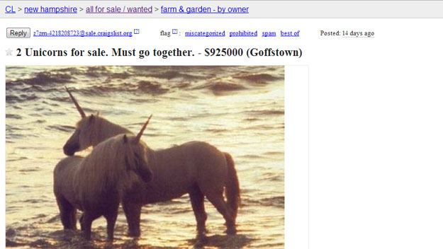 Two 'Purebred Unicorns' Listed For Sale On Craigslist In ...