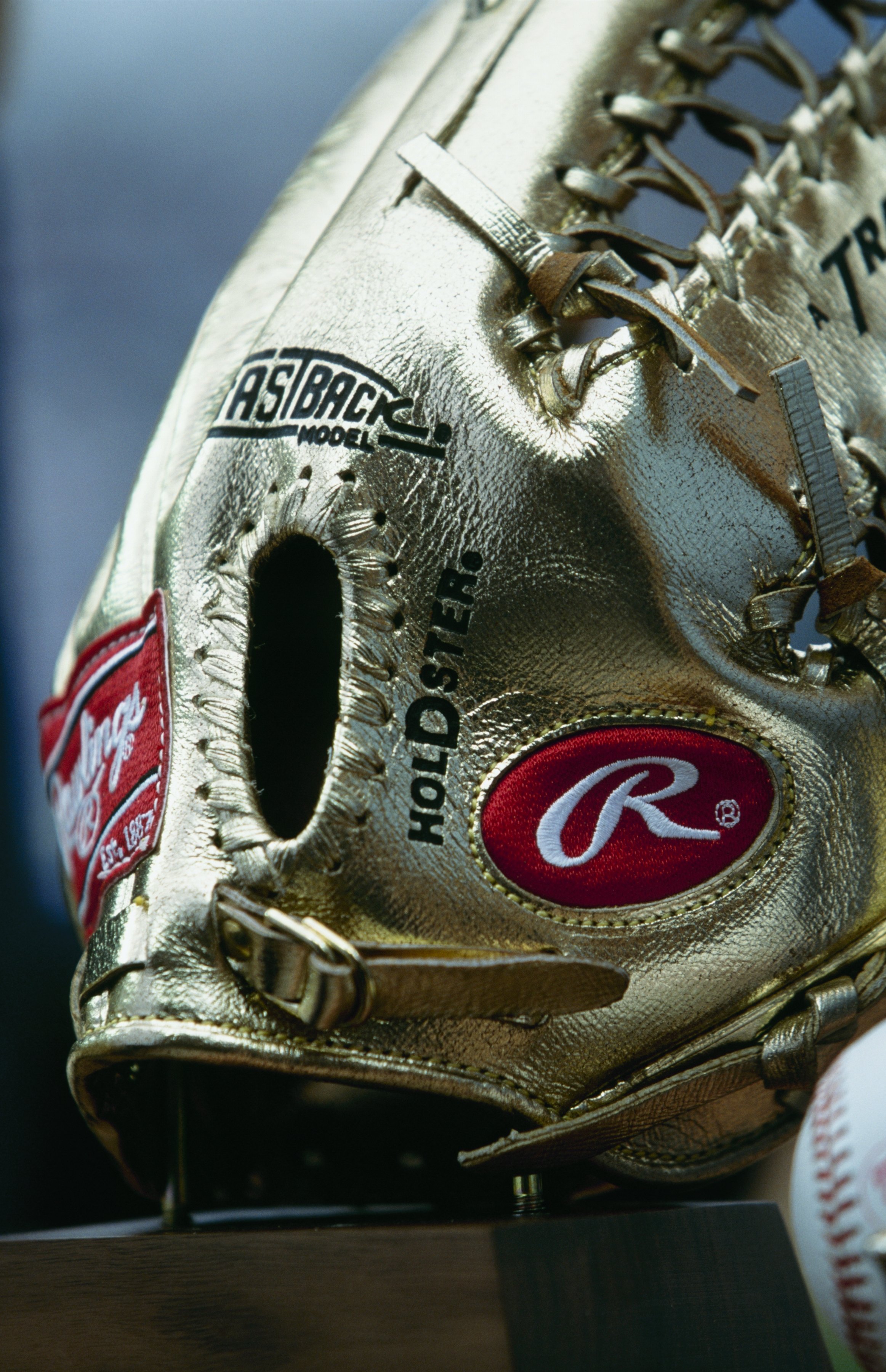A detailed view of the Gold Glove Award. (Photo by Brian Bahr/Getty Images)