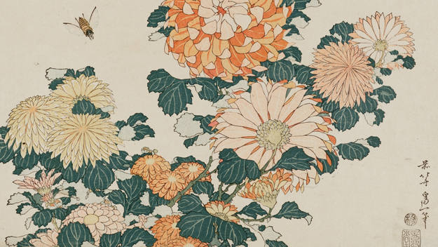 Katushika Hokusai, Chrysanthemums and Horsefly, from an untitled series known as Large Flowers, about 1833–34. Woodblock print (nishiki-e); ink and color on paper. William Sturgis Bigelow Collection (Image: Museum of Science)