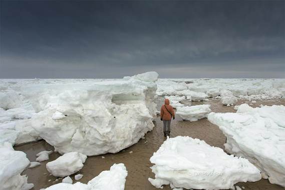 Iceberg washed ashore in Wellfleet (Image from Dapixara Photography)