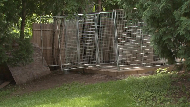 Dog cages in the yard of an Auburn home that was invaded by two masked individuals. (WBZ-TV)