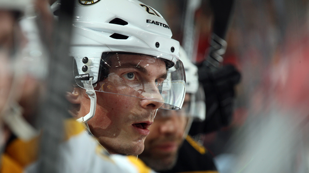 Loui Eriksson  (Photo by Bruce Bennett/Getty Images)
