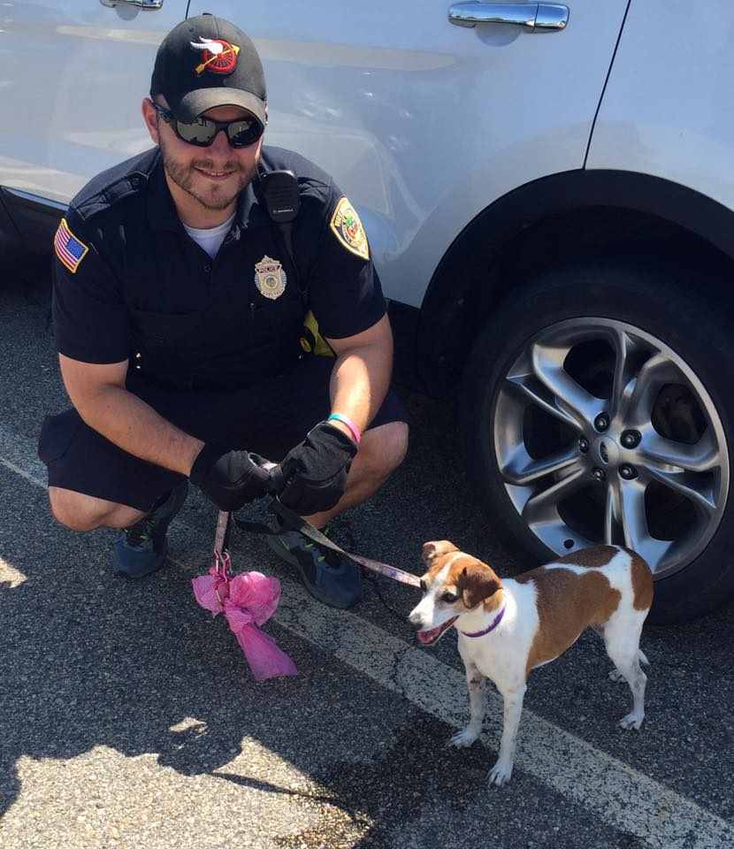 Wrentham Police Officer Pellegrini cooling down a dog found inside car with 135 degree interior temperature. (Courtesy: Wrentham Police Department) 