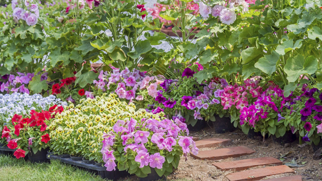 Boston S Best Places To Buy Gardening Supplies Cbs Boston