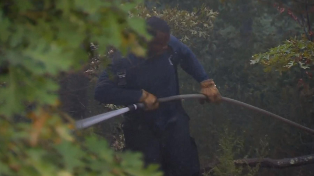 Firefighters needed about 26 hours to knock down a brush fire in West Roxbury. (WBZ-TV)