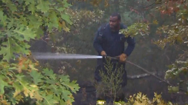 A firefighter battles a brush fire in West Roxbury (WBZ-TV)