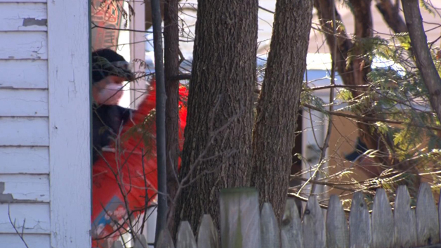 Investigators leave a Georgetown house with buckets. (WBZ-TV)