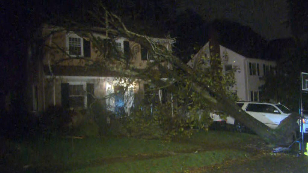 Tree Crashes Onto Milton Home Above Sleeping 3-Year-Old’s Bedroom
