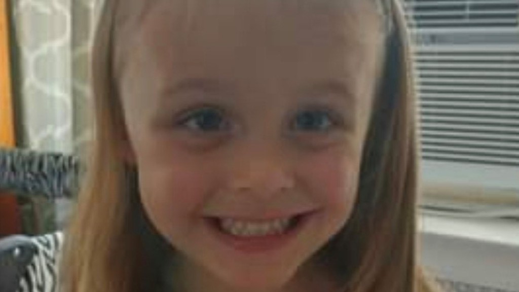Reward For Information That Helps Locate Missing NH Girl Harmony Montgomery Reaches $100,000