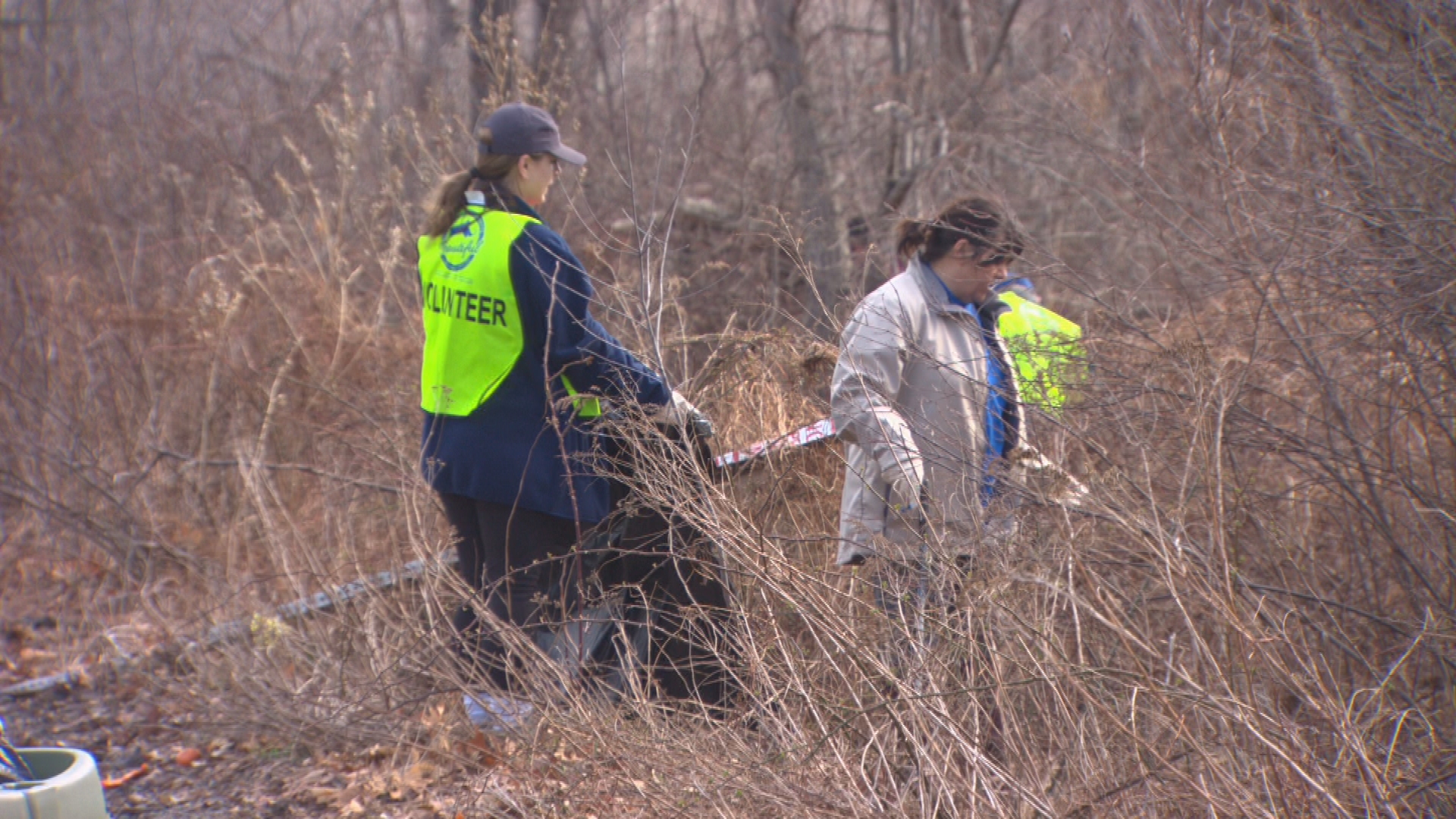 Volunteers Gather For Annual Fowl Meadow Cleanup In Hyde Park