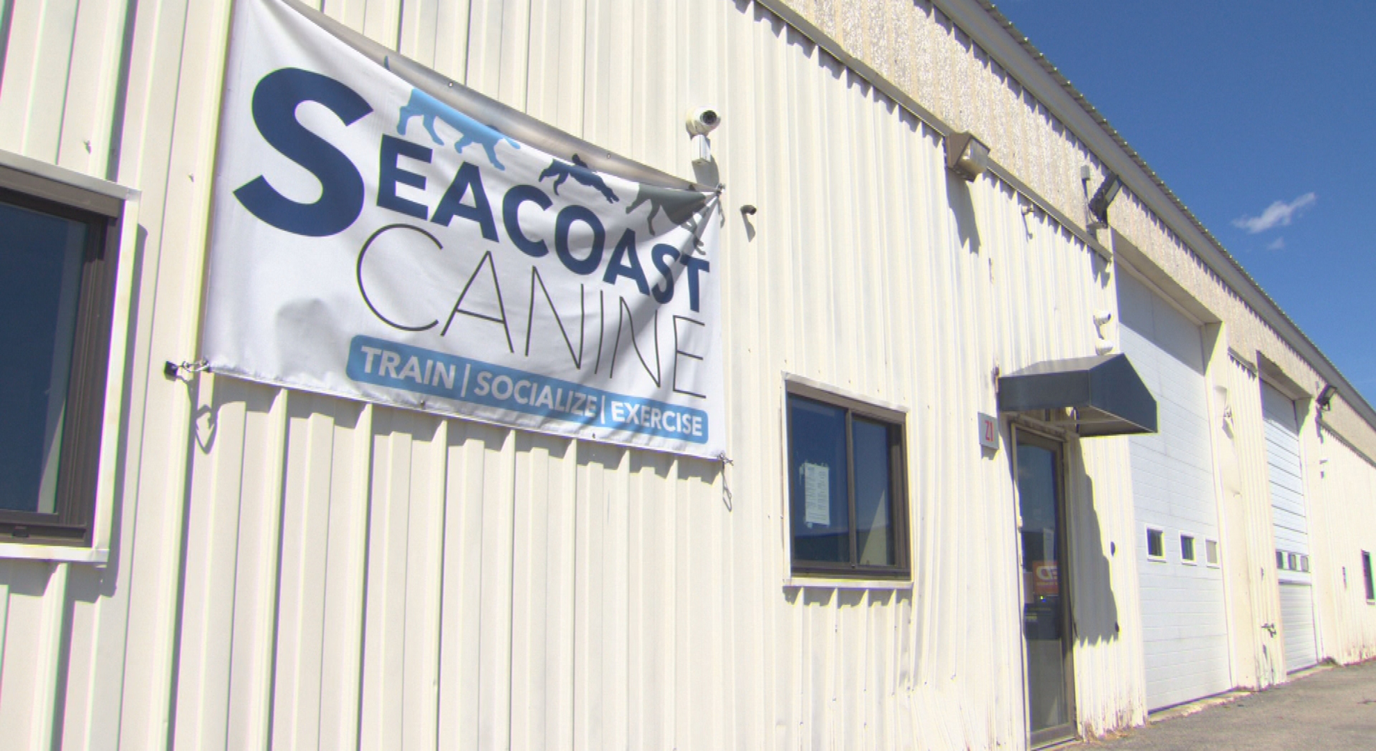 Owner Of Seacoast Canine In Salisbury Charged With Animal Cruelty