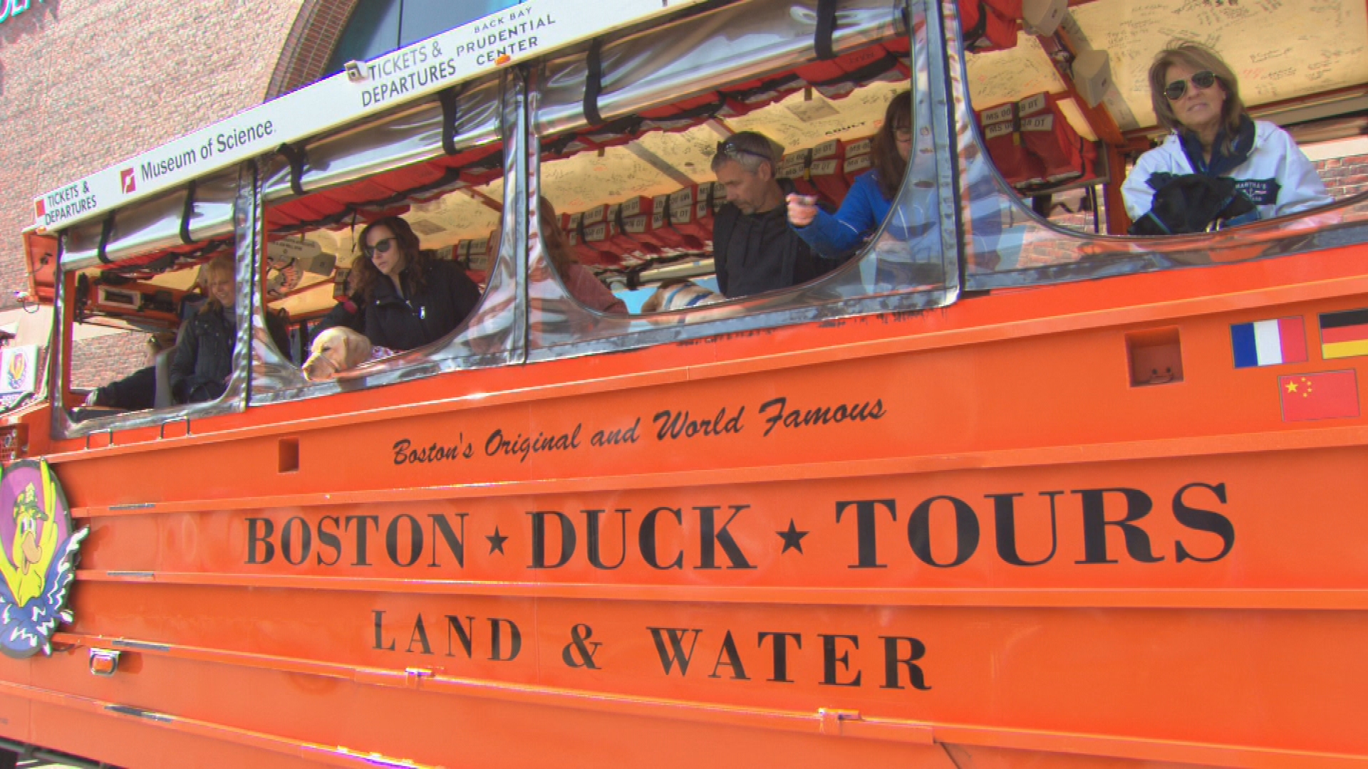 Nearly A Dozen Service Dogs Take A Ride On The Duck Boats